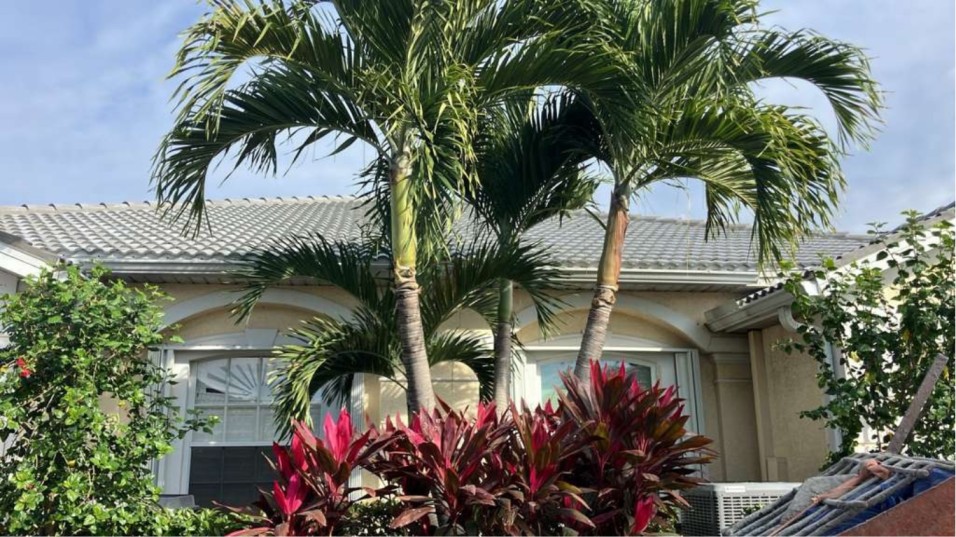 Tile Roof Replacement