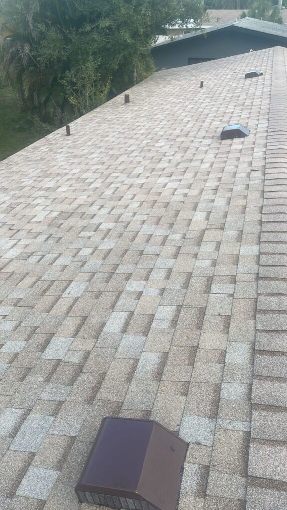 Shingle Roof Installation